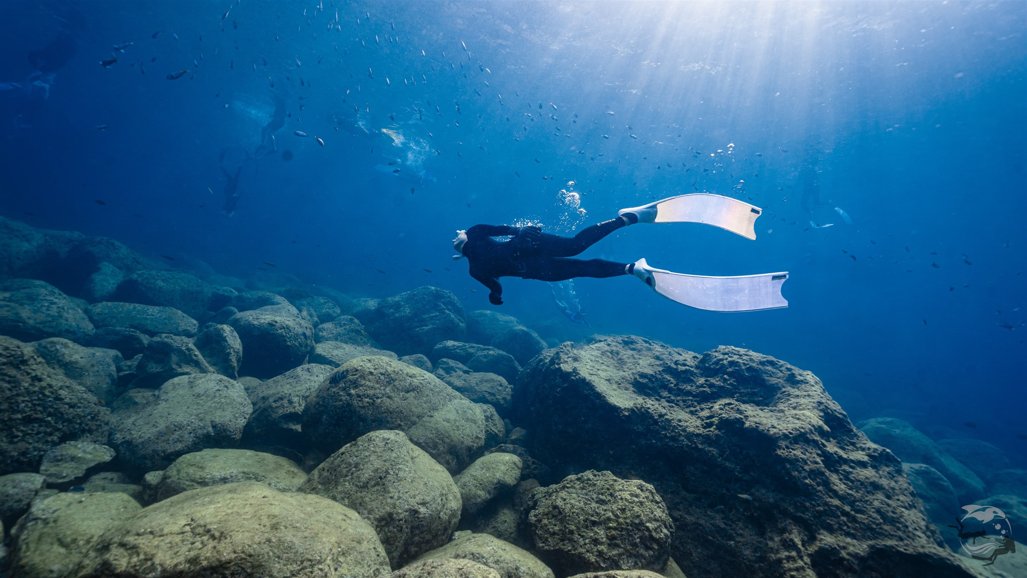 위퐁다이버스 성남 아쿠아라인 프리다이빙 수중 잠영
