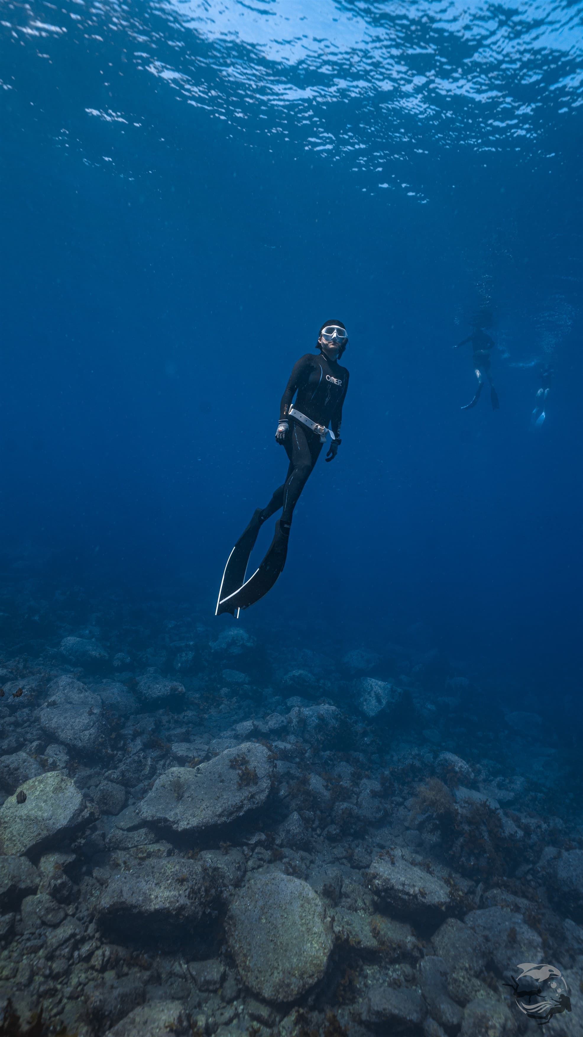 위퐁다이버스 바다 프리다이빙 수중 촬영